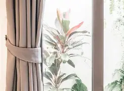 最新达拉斯独行侠莱弗利的伤情